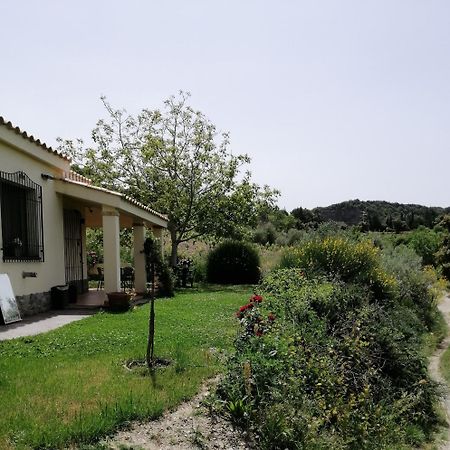 S'Orrosa Casa Vacanze Bifamiliare In Montagna Panorama Stupendo Sardegna Seulo Luaran gambar