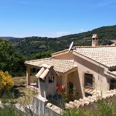 S'Orrosa Casa Vacanze Bifamiliare In Montagna Panorama Stupendo Sardegna Seulo Luaran gambar