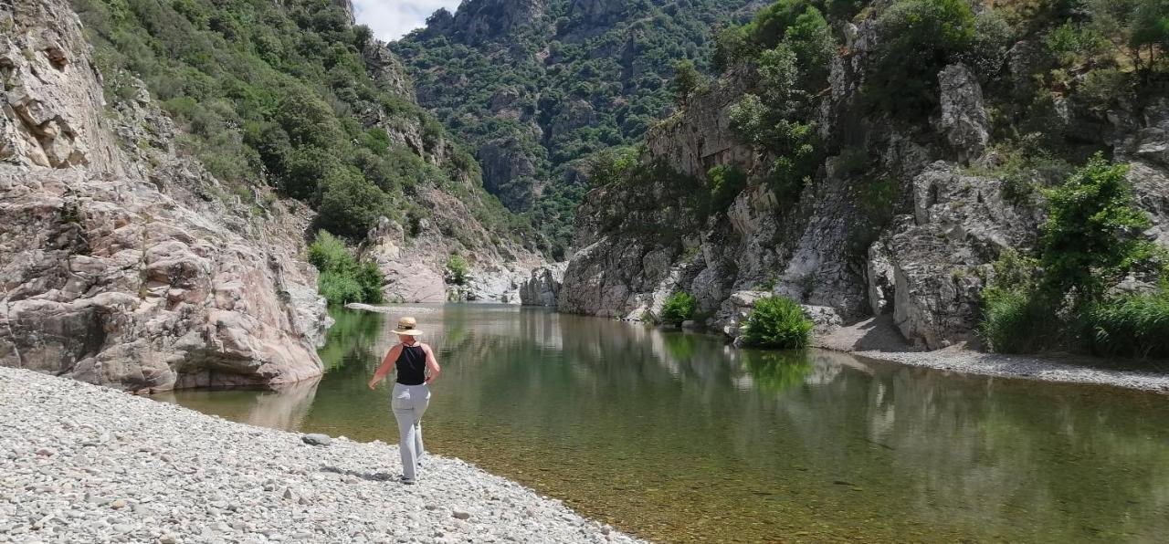 S'Orrosa Casa Vacanze Bifamiliare In Montagna Panorama Stupendo Sardegna Seulo Luaran gambar