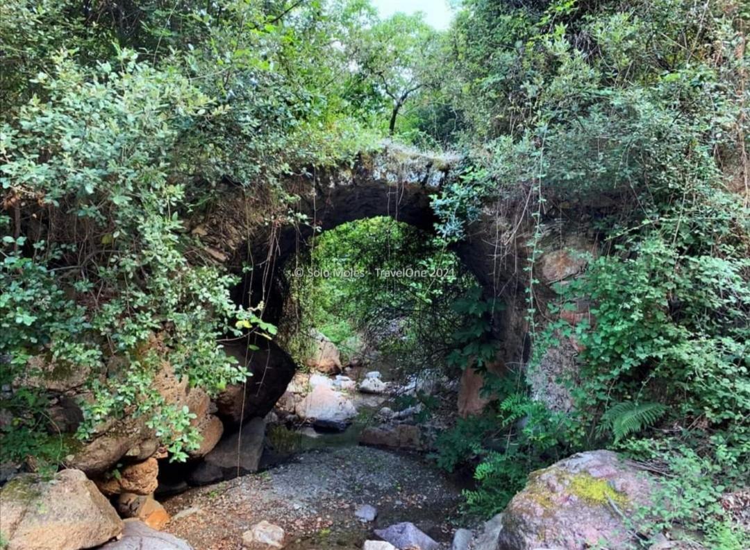 S'Orrosa Casa Vacanze Bifamiliare In Montagna Panorama Stupendo Sardegna Seulo Luaran gambar