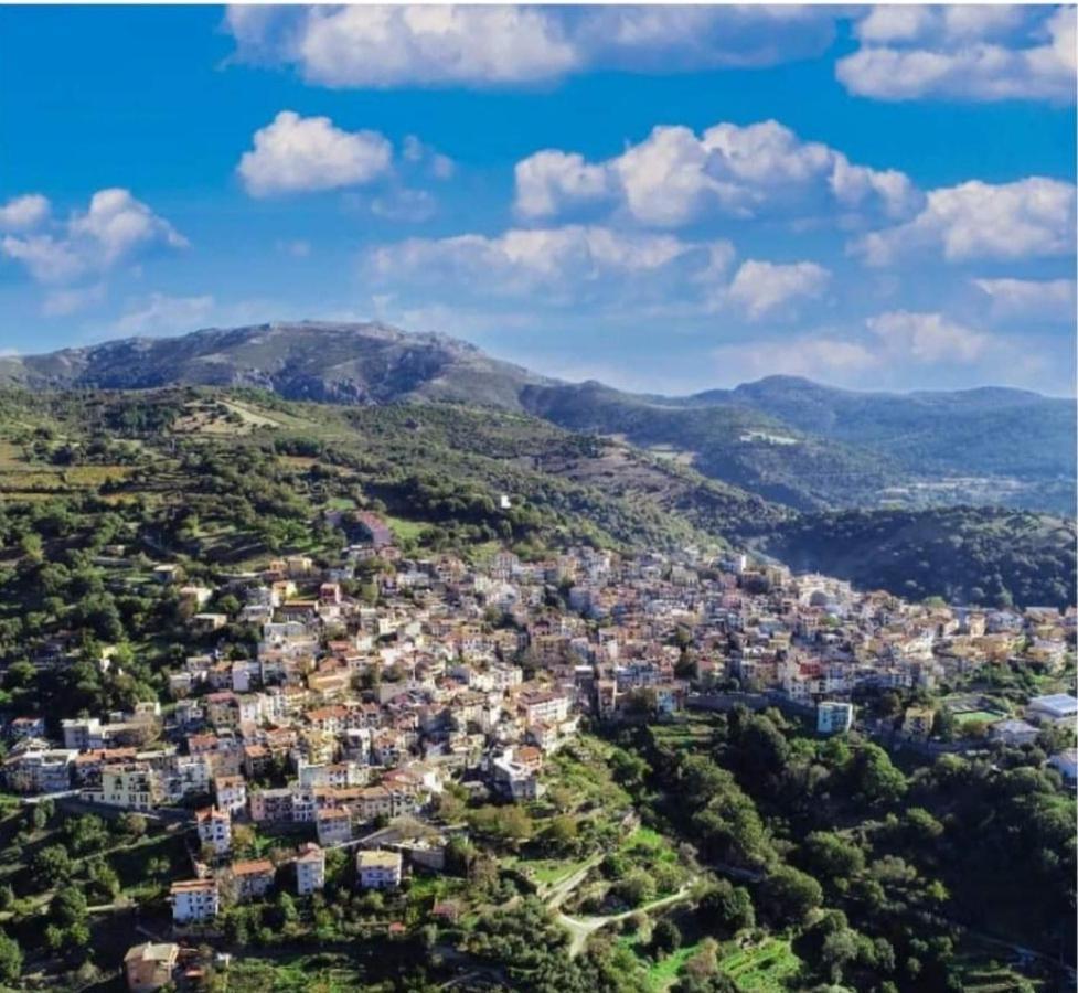S'Orrosa Casa Vacanze Bifamiliare In Montagna Panorama Stupendo Sardegna Seulo Luaran gambar