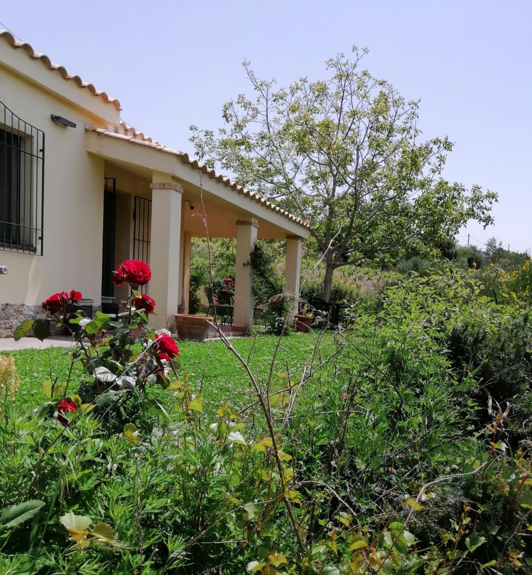 S'Orrosa Casa Vacanze Bifamiliare In Montagna Panorama Stupendo Sardegna Seulo Luaran gambar