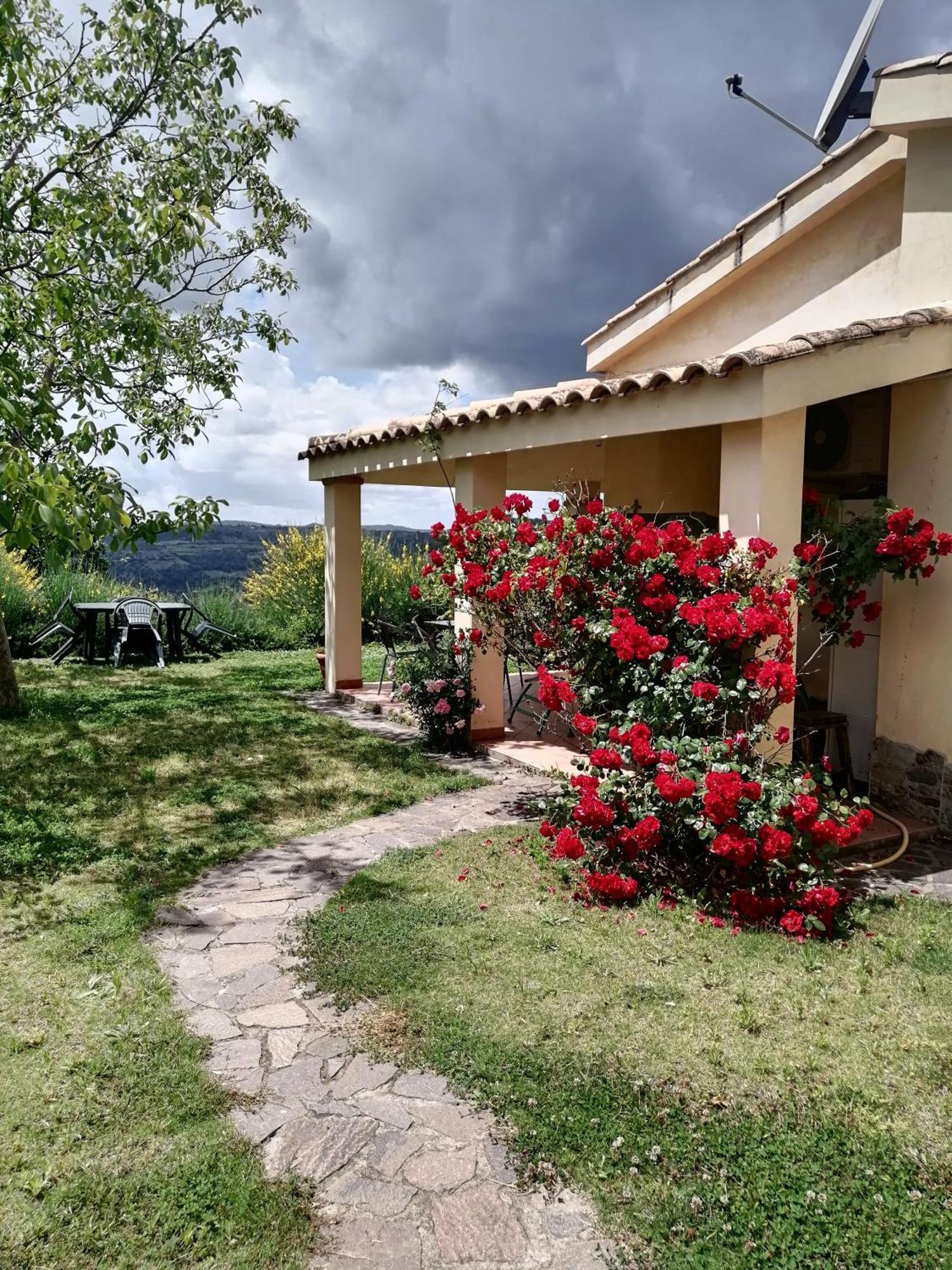 S'Orrosa Casa Vacanze Bifamiliare In Montagna Panorama Stupendo Sardegna Seulo Luaran gambar