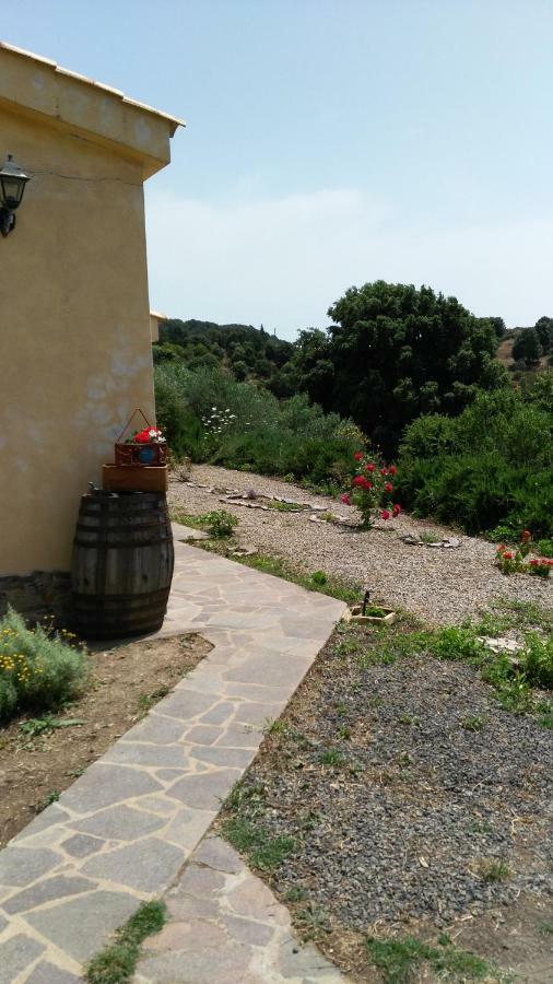S'Orrosa Casa Vacanze Bifamiliare In Montagna Panorama Stupendo Sardegna Seulo Luaran gambar