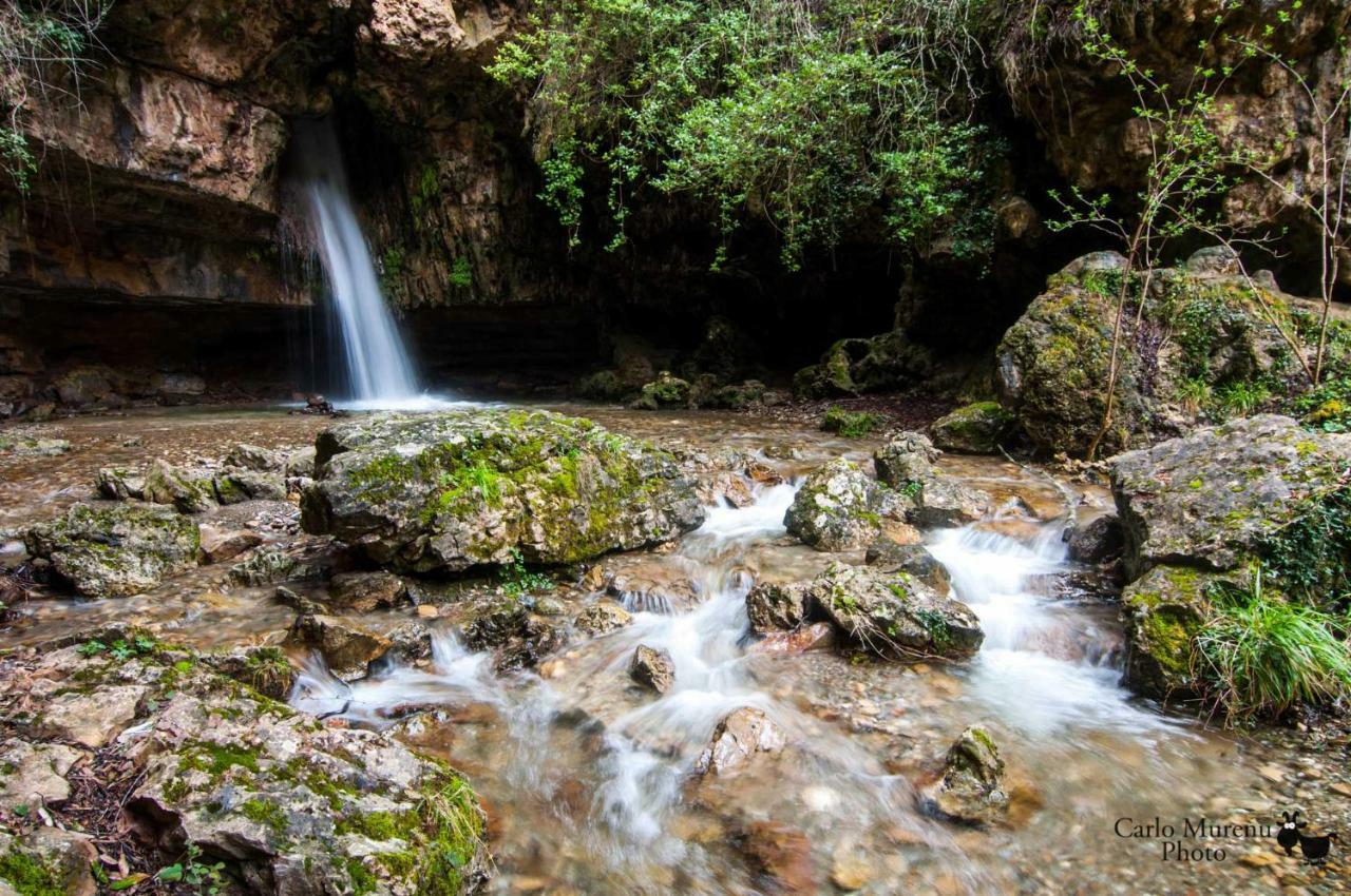 S'Orrosa Casa Vacanze Bifamiliare In Montagna Panorama Stupendo Sardegna Seulo Luaran gambar