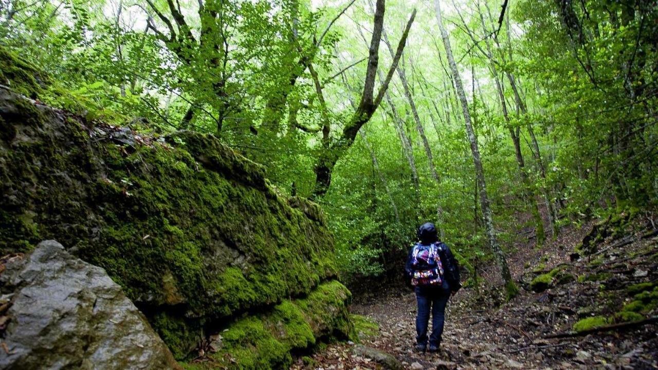 S'Orrosa Casa Vacanze Bifamiliare In Montagna Panorama Stupendo Sardegna Seulo Luaran gambar