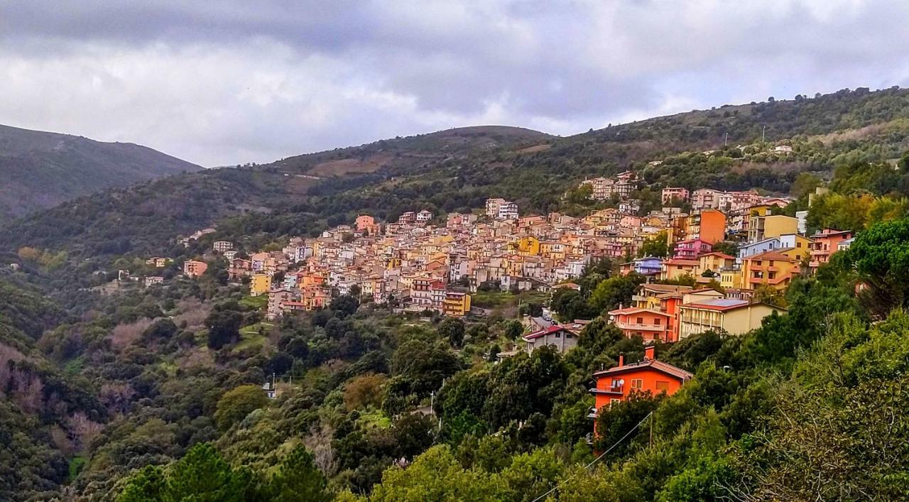 S'Orrosa Casa Vacanze Bifamiliare In Montagna Panorama Stupendo Sardegna Seulo Luaran gambar