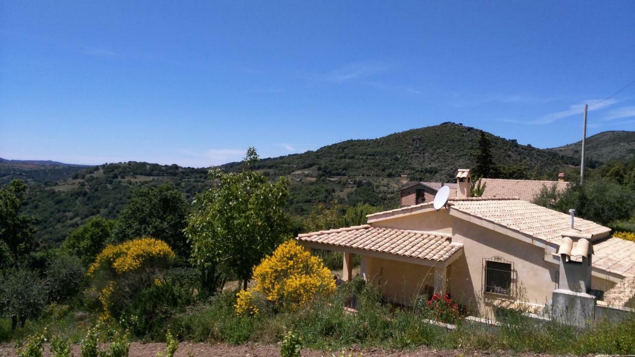 S'Orrosa Casa Vacanze Bifamiliare In Montagna Panorama Stupendo Sardegna Seulo Luaran gambar