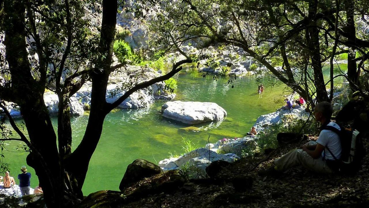 S'Orrosa Casa Vacanze Bifamiliare In Montagna Panorama Stupendo Sardegna Seulo Luaran gambar