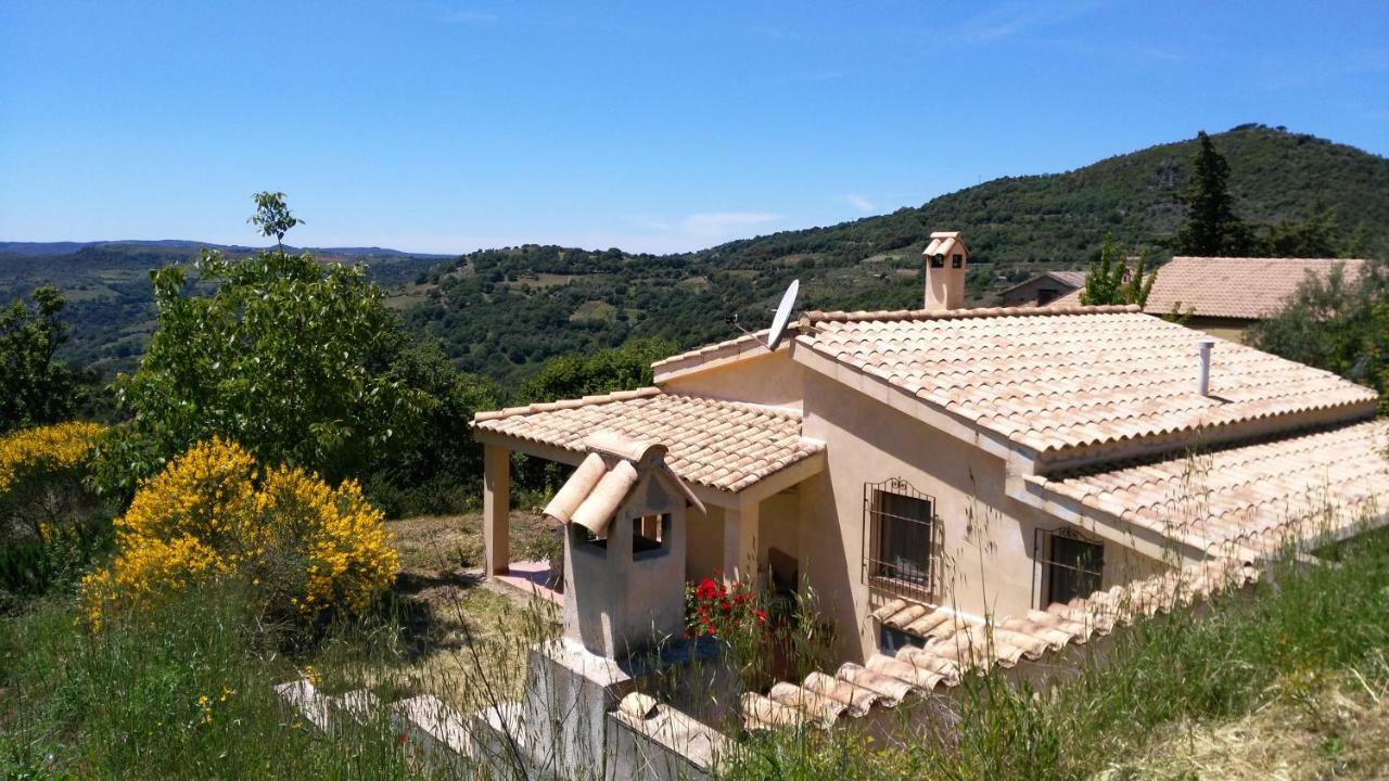S'Orrosa Casa Vacanze Bifamiliare In Montagna Panorama Stupendo Sardegna Seulo Luaran gambar