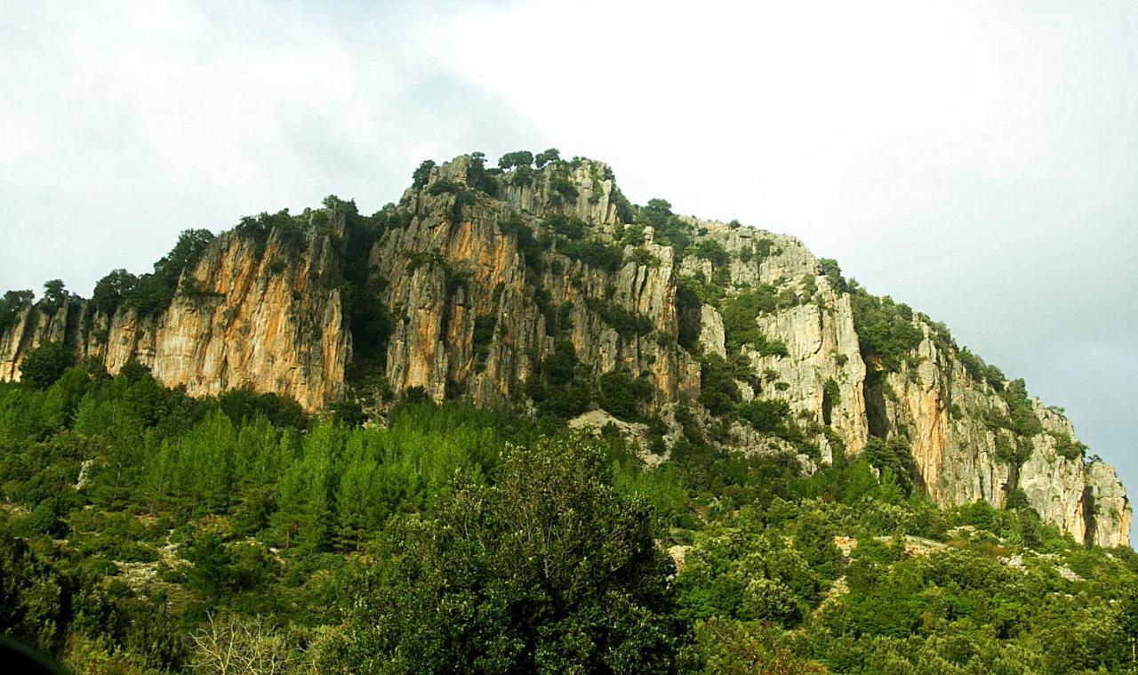 S'Orrosa Casa Vacanze Bifamiliare In Montagna Panorama Stupendo Sardegna Seulo Luaran gambar