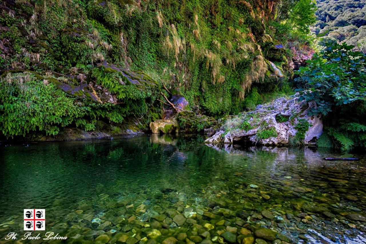 S'Orrosa Casa Vacanze Bifamiliare In Montagna Panorama Stupendo Sardegna Seulo Luaran gambar